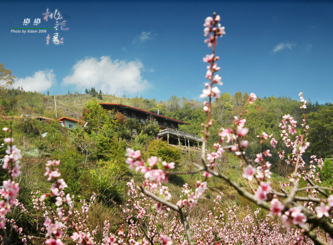 按此在新視窗瀏覽圖片