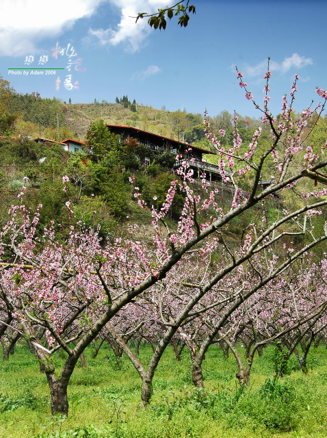 按此在新視窗瀏覽圖片
