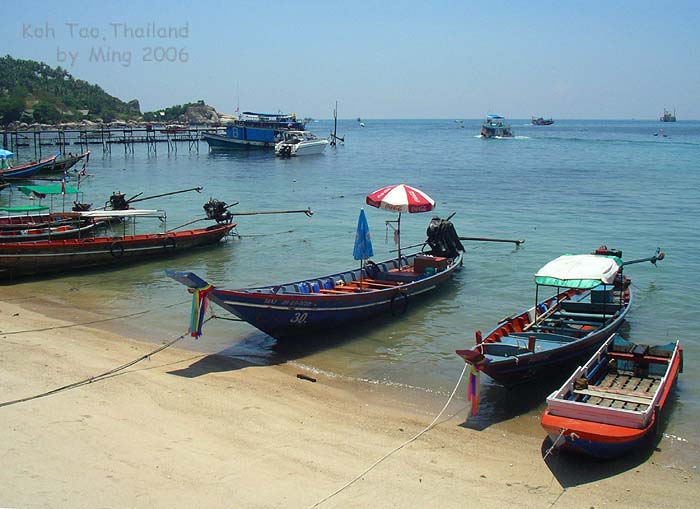 按此在新視窗瀏覽圖片