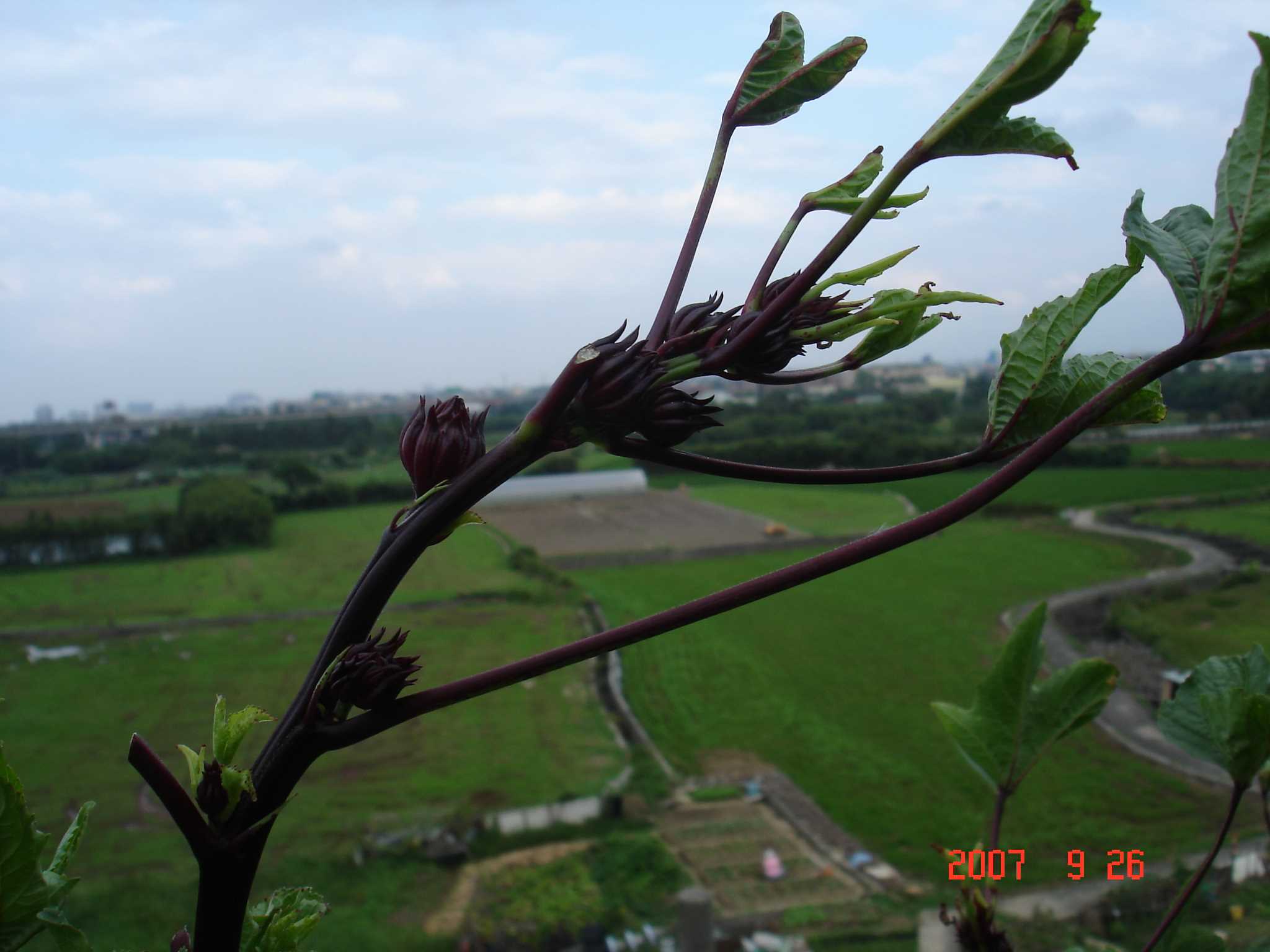 «ö¦¹¦b·sµøµ¡ÂsÄý¹Ï¤ù