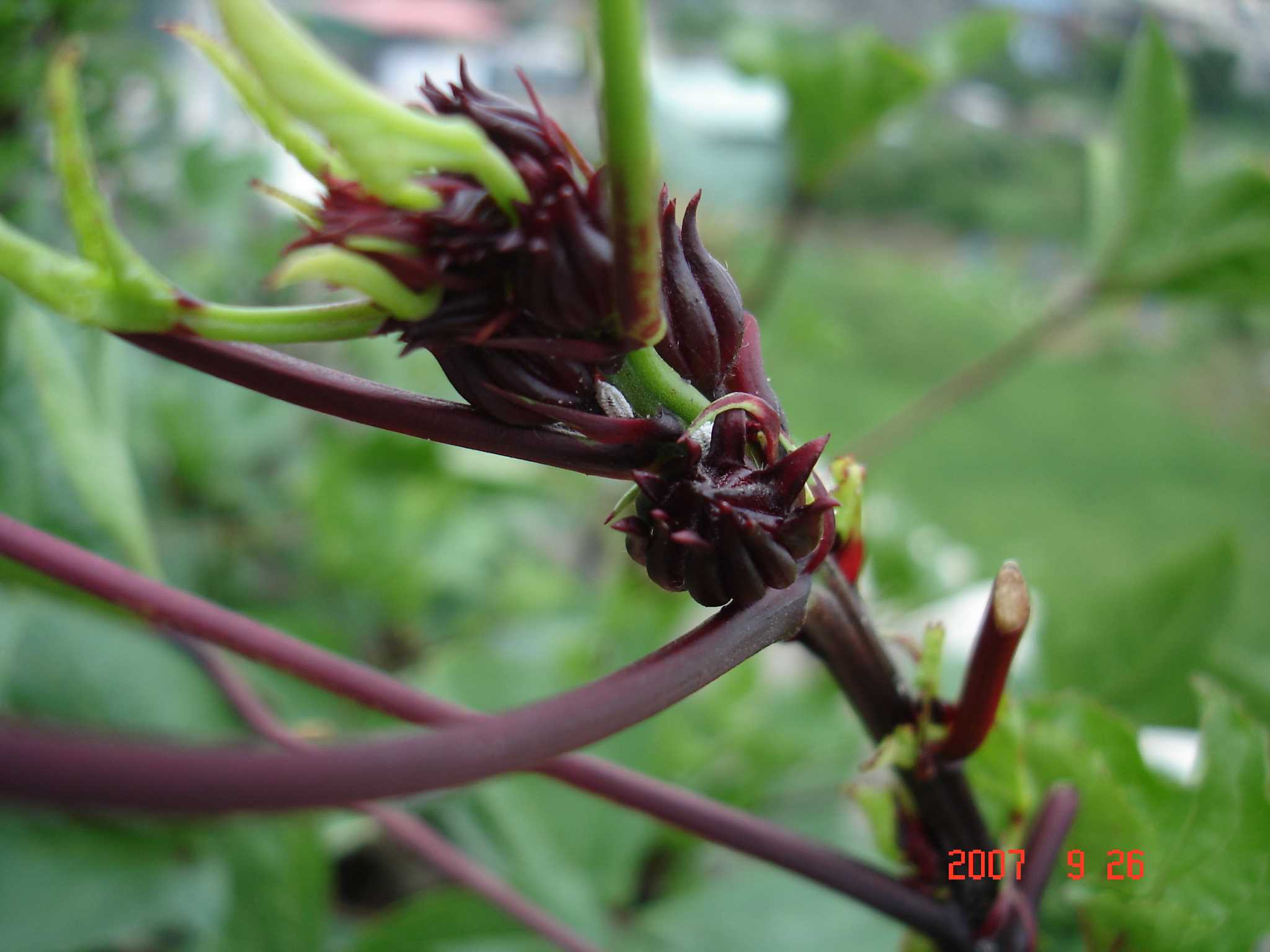 «ö¦¹¦b·sµøµ¡ÂsÄý¹Ï¤ù