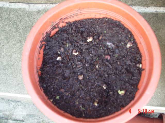 «ö¦¹¦b·sµøµ¡ÂsÄý¹Ï¤ù