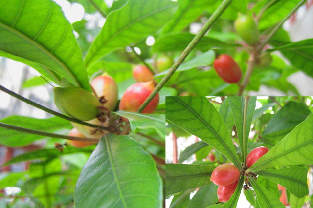 «ö¦¹¦b·sµøµ¡ÂsÄý¹Ï¤ù