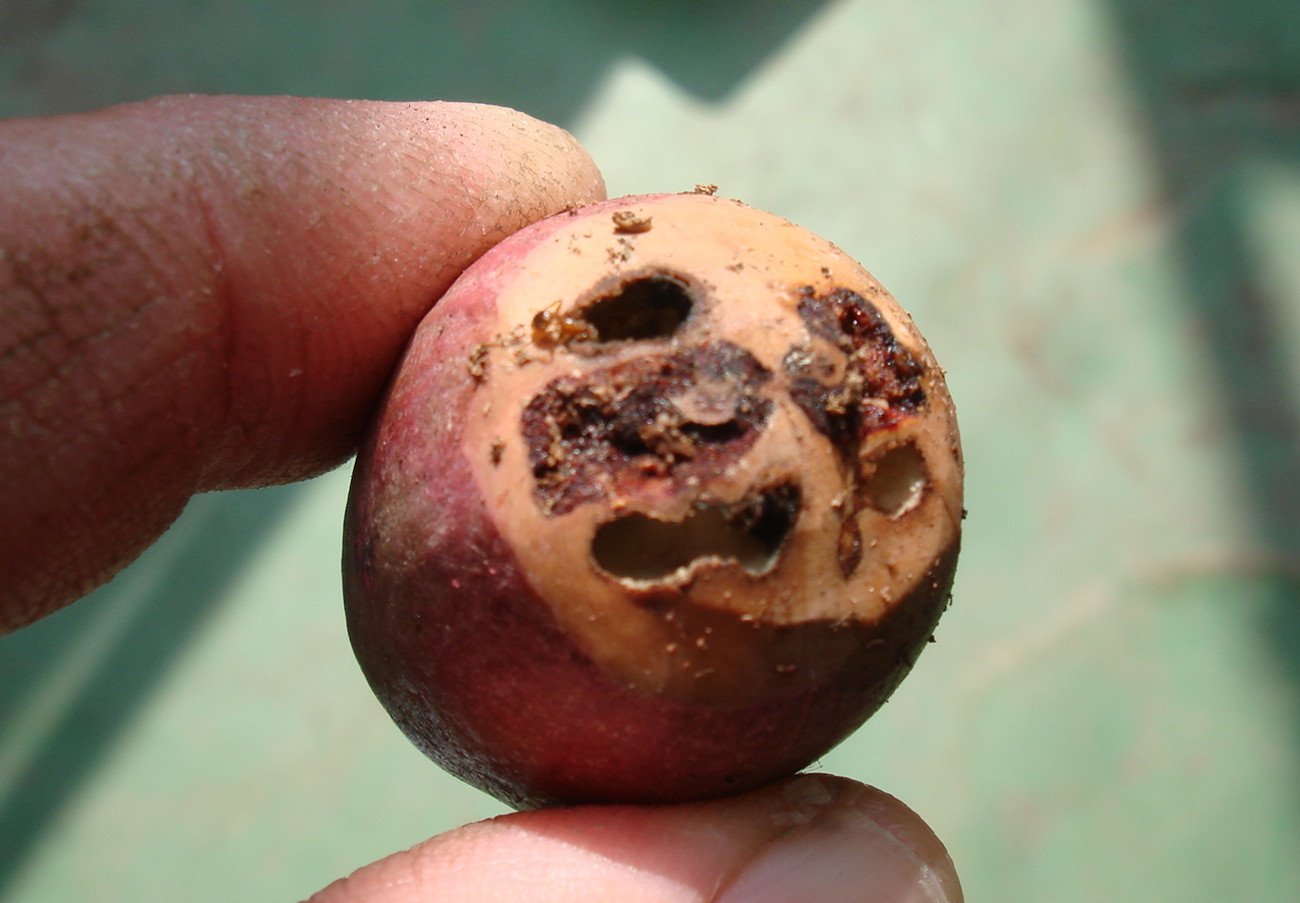 按此在新視窗瀏覽圖片