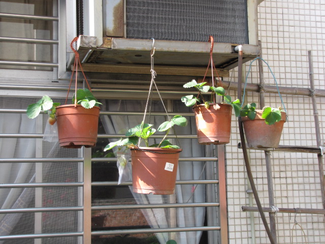 «ö¦¹¦b·sµøµ¡ÂsÄý¹Ï¤ù