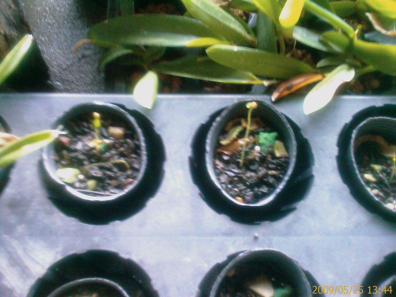 «ö¦¹¦b·sµøµ¡ÂsÄý¹Ï¤ù