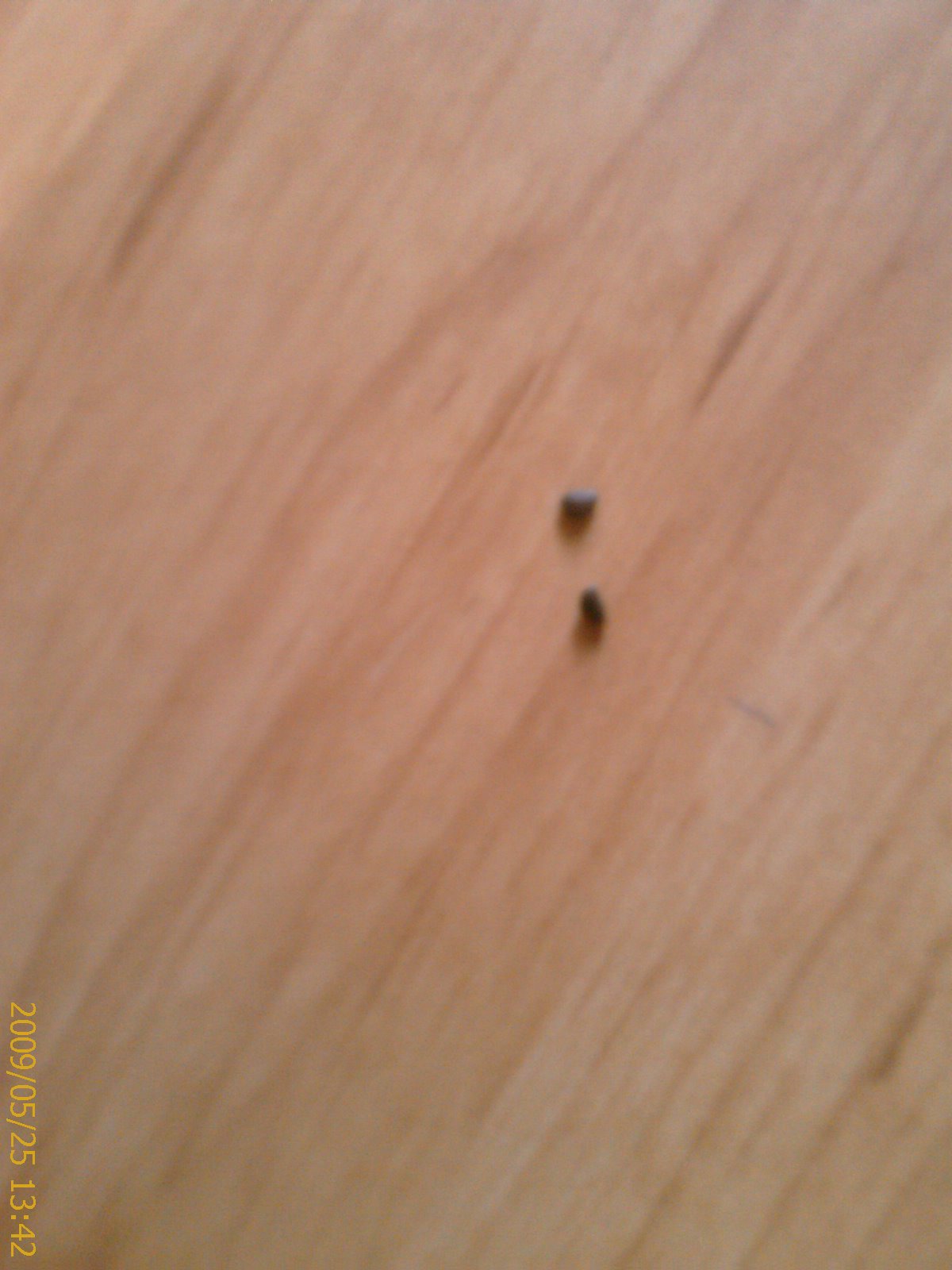 «ö¦¹¦b·sµøµ¡ÂsÄý¹Ï¤ù