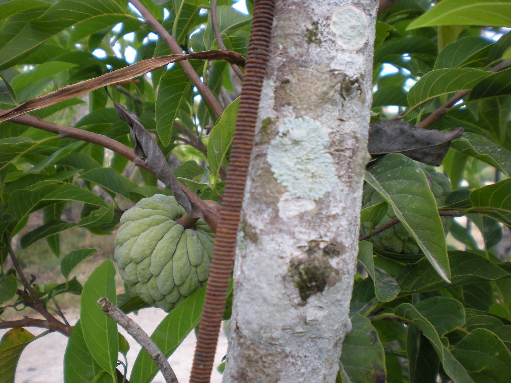 «ö¦¹¦b·sµøµ¡ÂsÄý¹Ï¤ù