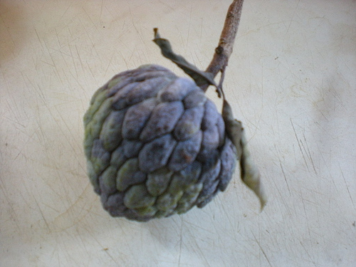 «ö¦¹¦b·sµøµ¡ÂsÄý¹Ï¤ù