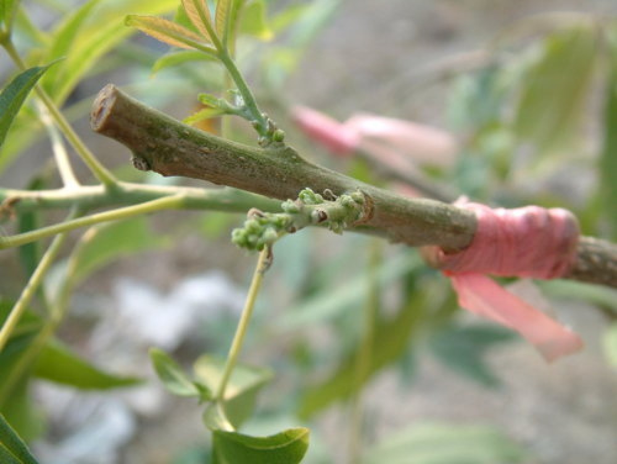 «ö¦¹¦b·sµøµ¡ÂsÄý¹Ï¤ù