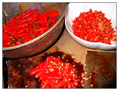 «ö¦¹¦b·sµøµ¡ÂsÄý¹Ï¤ù