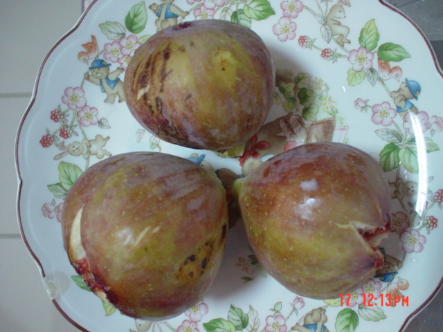 «ö¦¹¦b·sµøµ¡ÂsÄý¹Ï¤ù