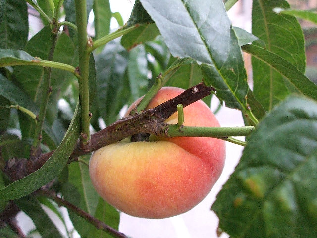 «ö¦¹¦b·sµøµ¡ÂsÄý¹Ï¤ù