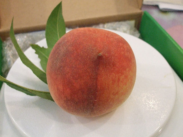 «ö¦¹¦b·sµøµ¡ÂsÄý¹Ï¤ù