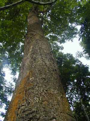 «ö¦¹¦b·sµøµ¡ÂsÄý¹Ï¤ù