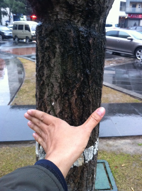 «ö¦¹¦b·sµøµ¡ÂsÄý¹Ï¤ù