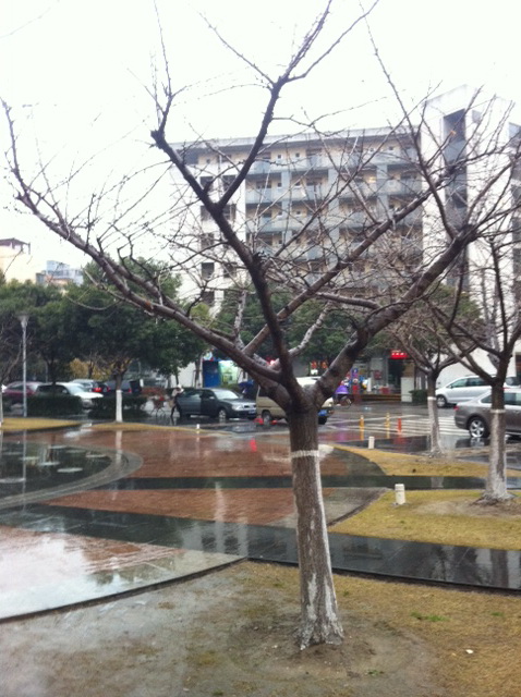 «ö¦¹¦b·sµøµ¡ÂsÄý¹Ï¤ù