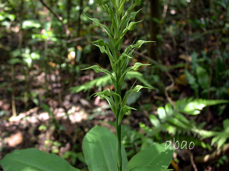 按此在新視窗瀏覽圖片