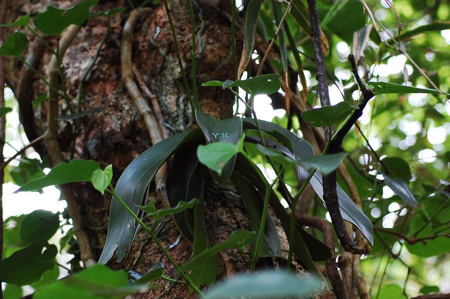 «ö¦¹¦b·sµøµ¡ÂsÄý¹Ï¤ù