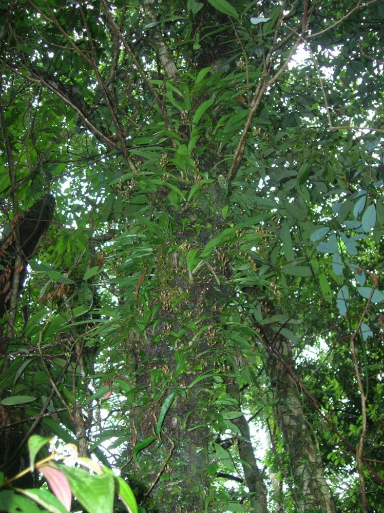 «ö¦¹¦b·sµøµ¡ÂsÄý¹Ï¤ù