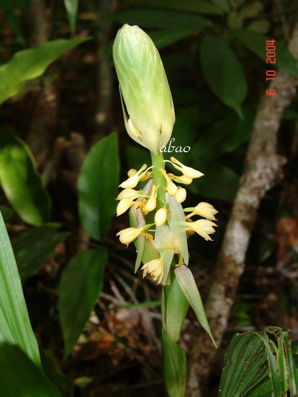 按此在新視窗瀏覽圖片