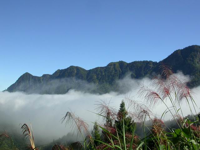 按此在新視窗瀏覽圖片