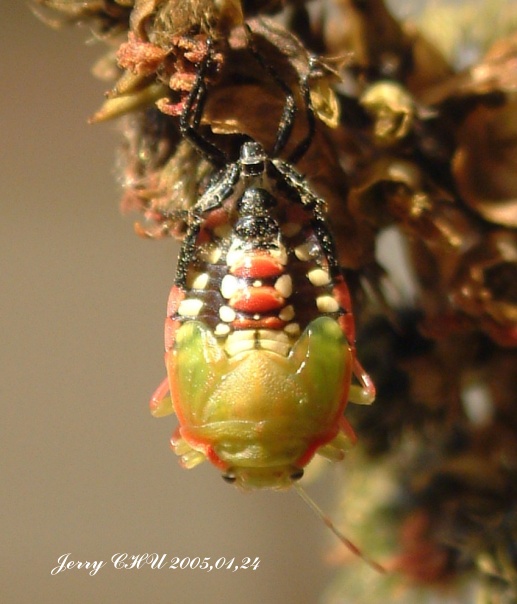 按此在新視窗瀏覽圖片