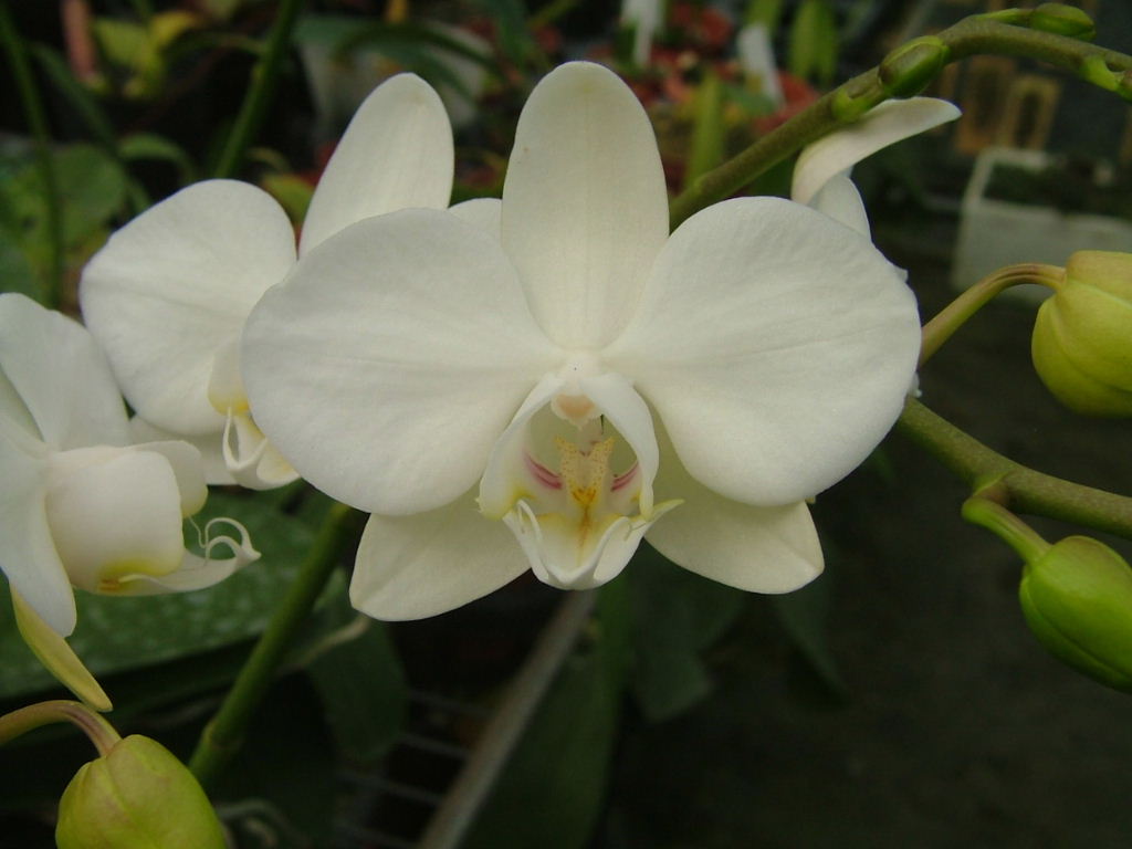 «ö¦¹¦b·sµøµ¡ÂsÄý¹Ï¤ù