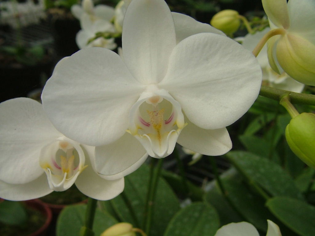 «ö¦¹¦b·sµøµ¡ÂsÄý¹Ï¤ù