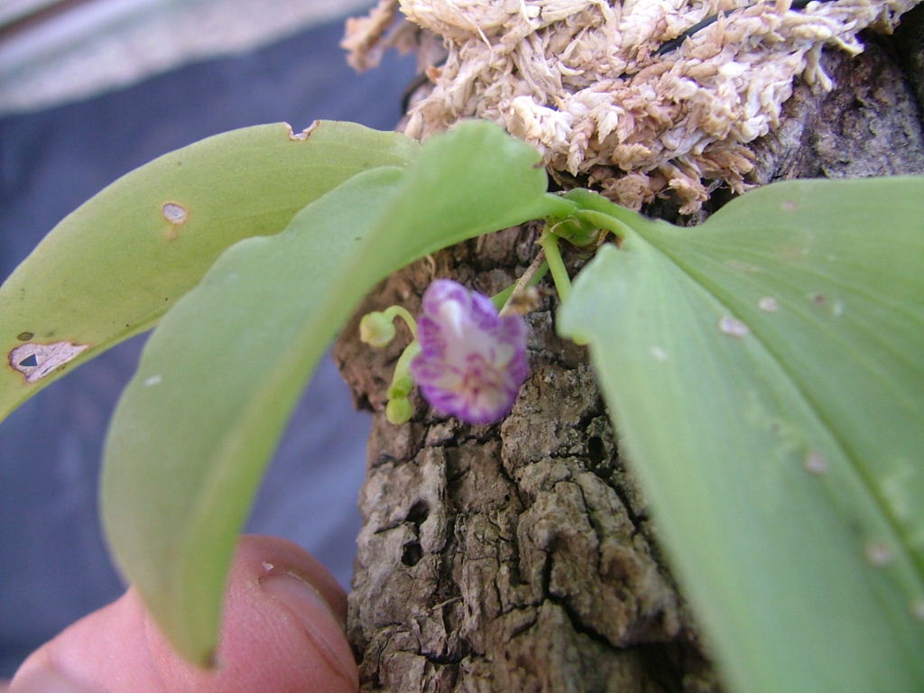 «ö¦¹¦b·sµøµ¡ÂsÄý¹Ï¤ù