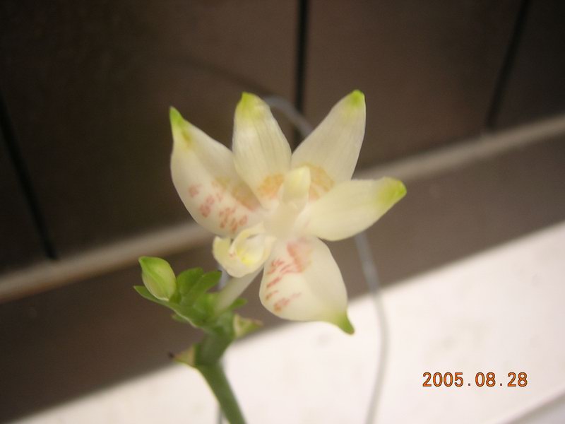 按此在新視窗瀏覽圖片