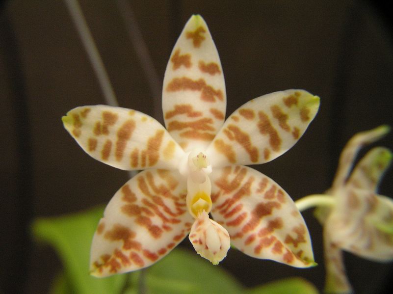 按此在新視窗瀏覽圖片