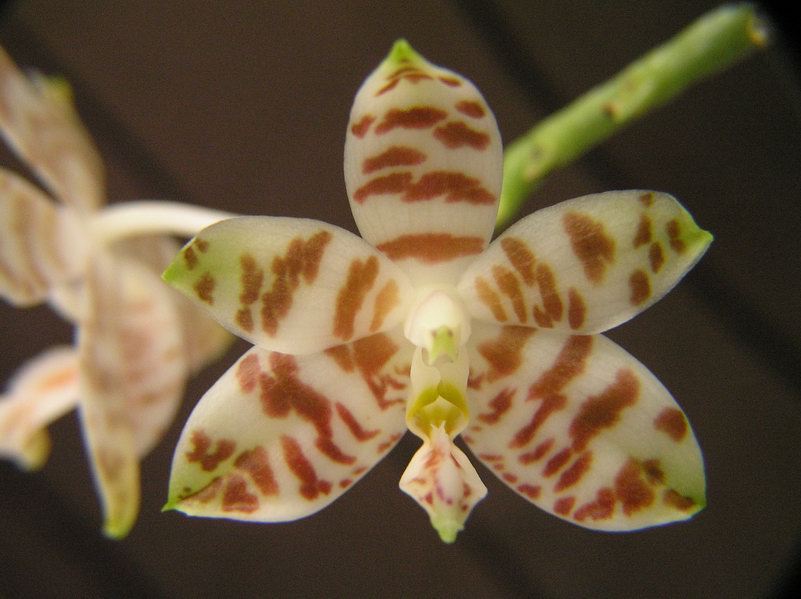 按此在新視窗瀏覽圖片