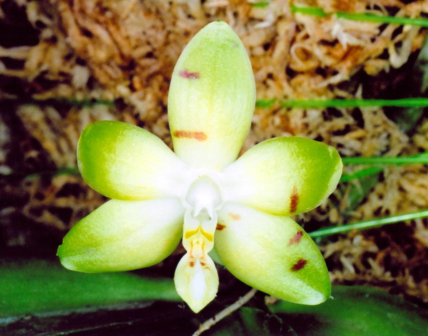 按此在新視窗瀏覽圖片