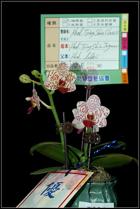 按此在新視窗瀏覽圖片