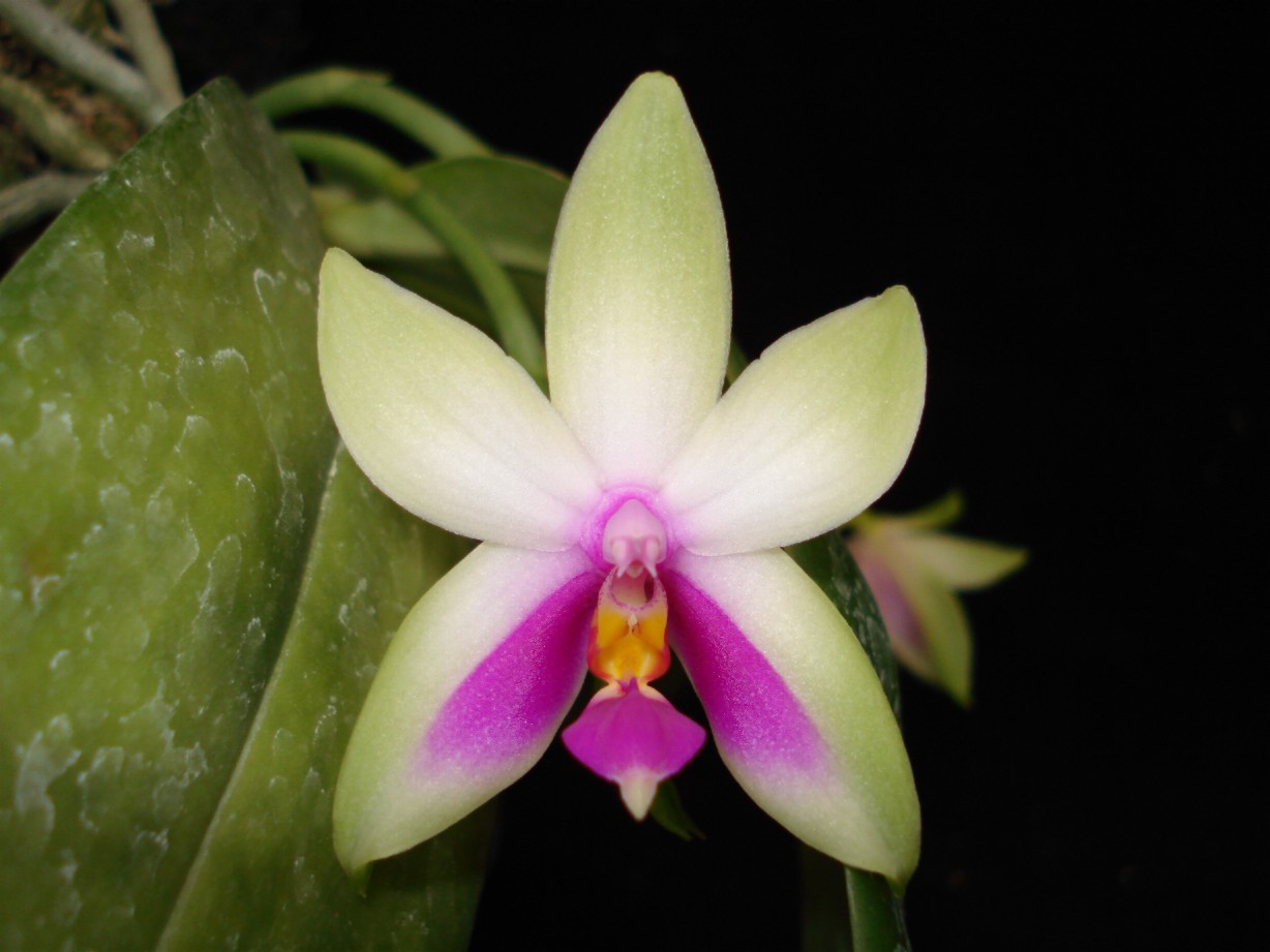 按此在新視窗瀏覽圖片