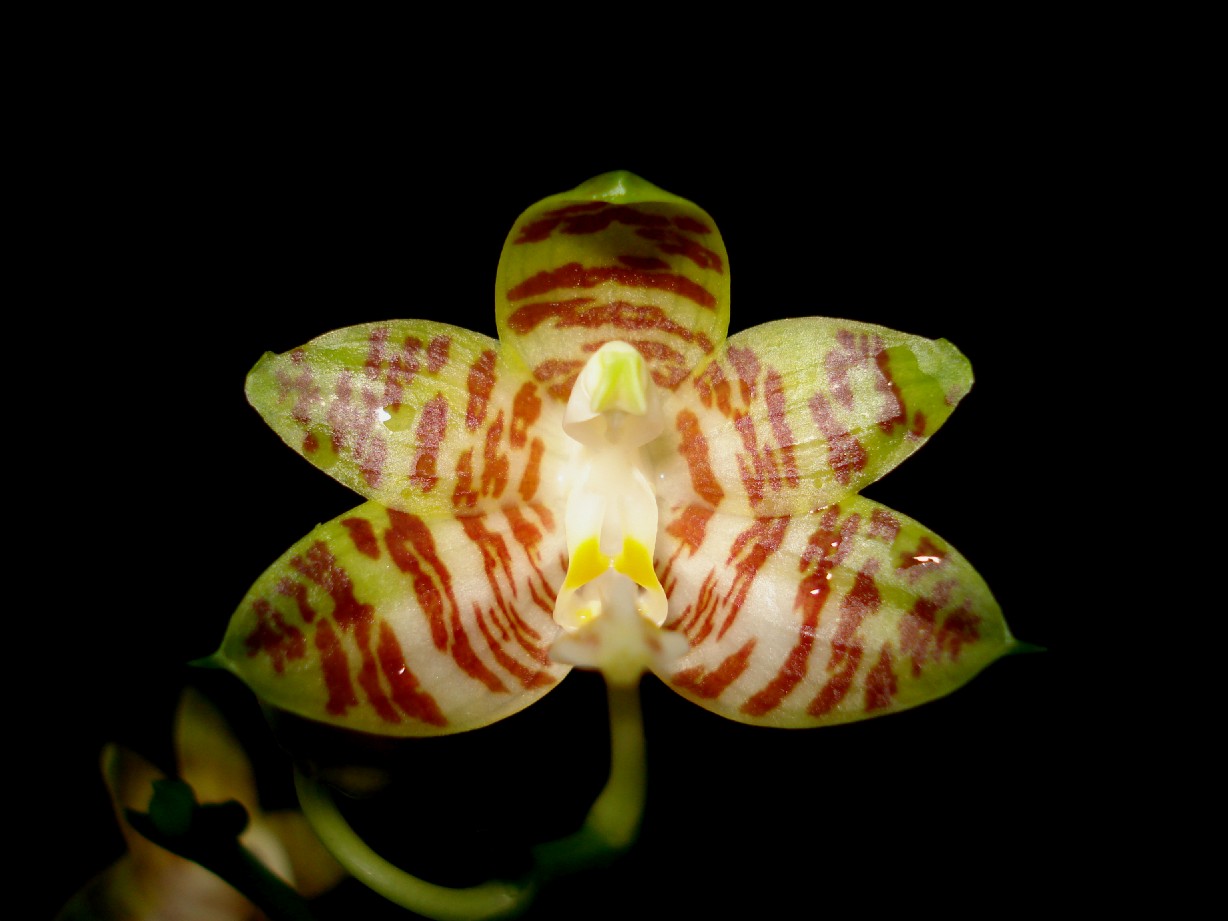 按此在新視窗瀏覽圖片