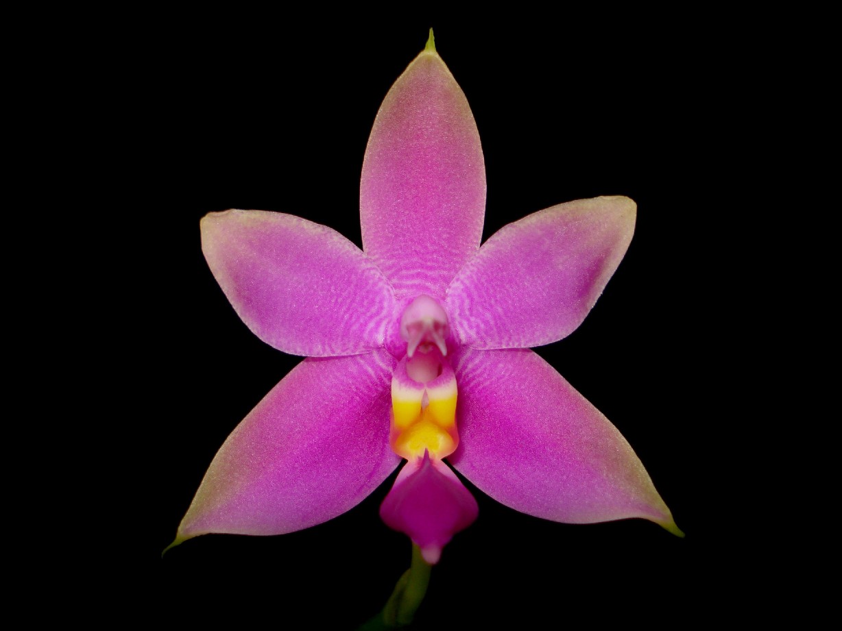 按此在新視窗瀏覽圖片