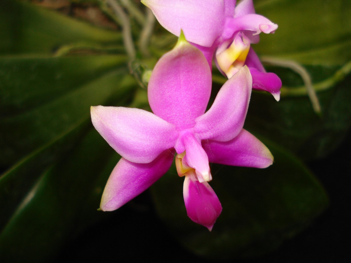 按此在新視窗瀏覽圖片