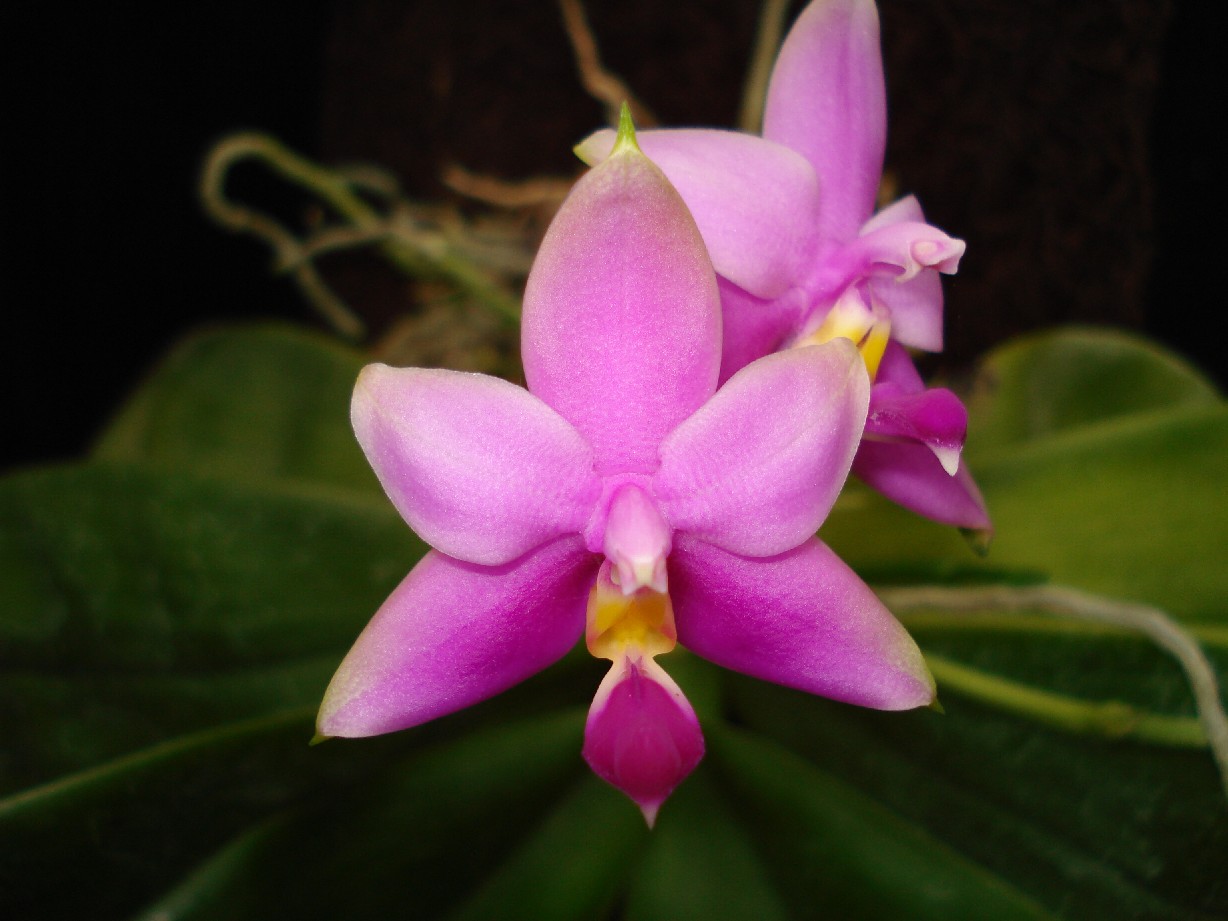 按此在新視窗瀏覽圖片