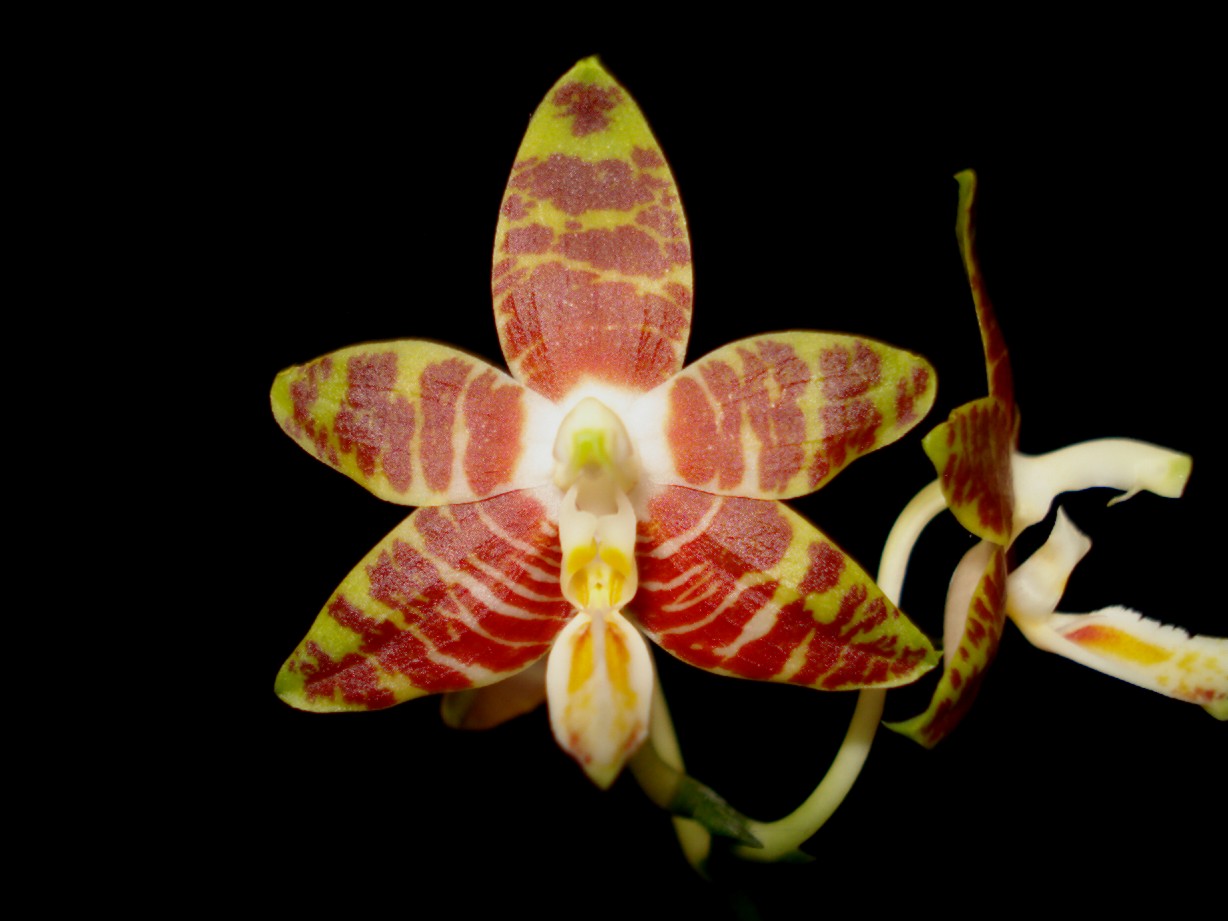 按此在新視窗瀏覽圖片