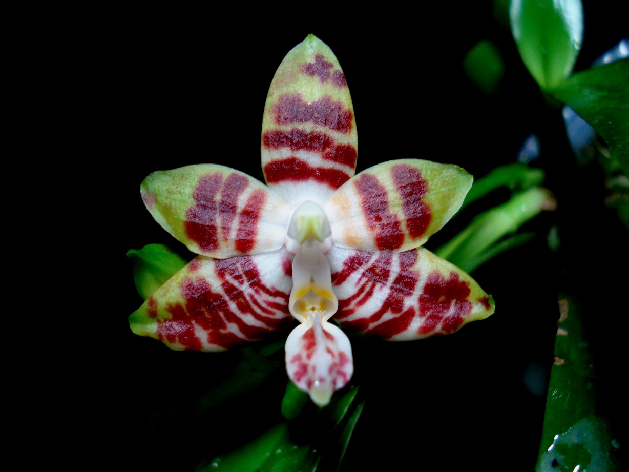 按此在新視窗瀏覽圖片