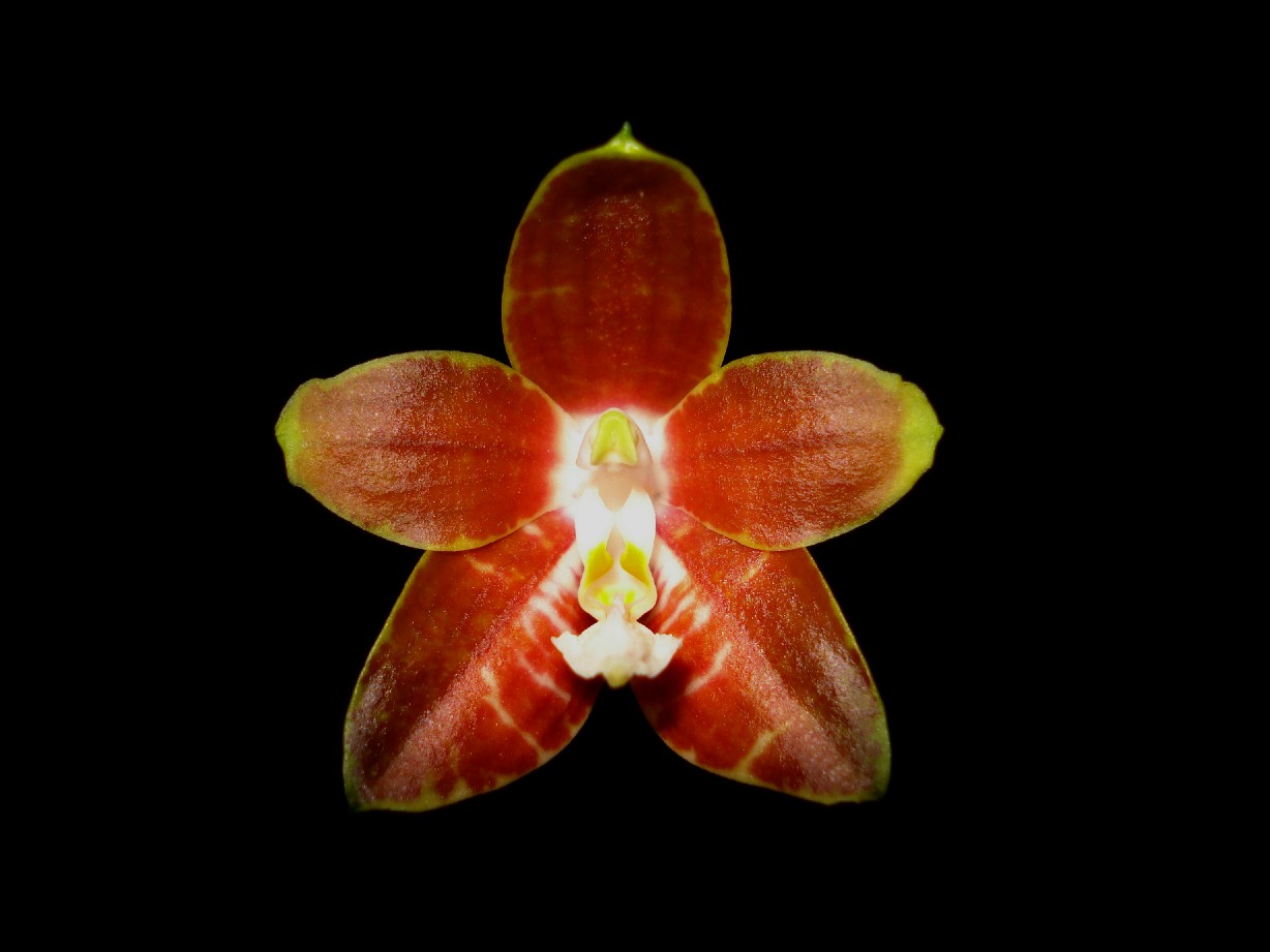 按此在新視窗瀏覽圖片