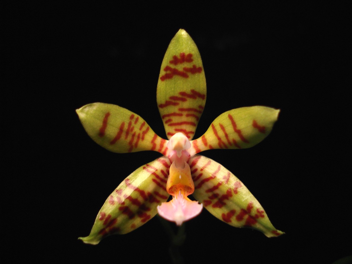 按此在新視窗瀏覽圖片