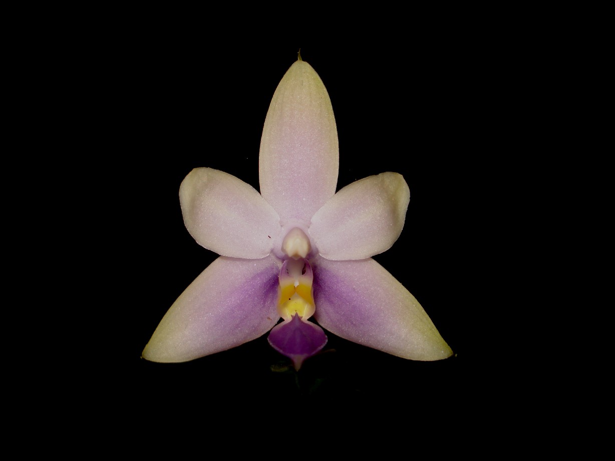 按此在新視窗瀏覽圖片