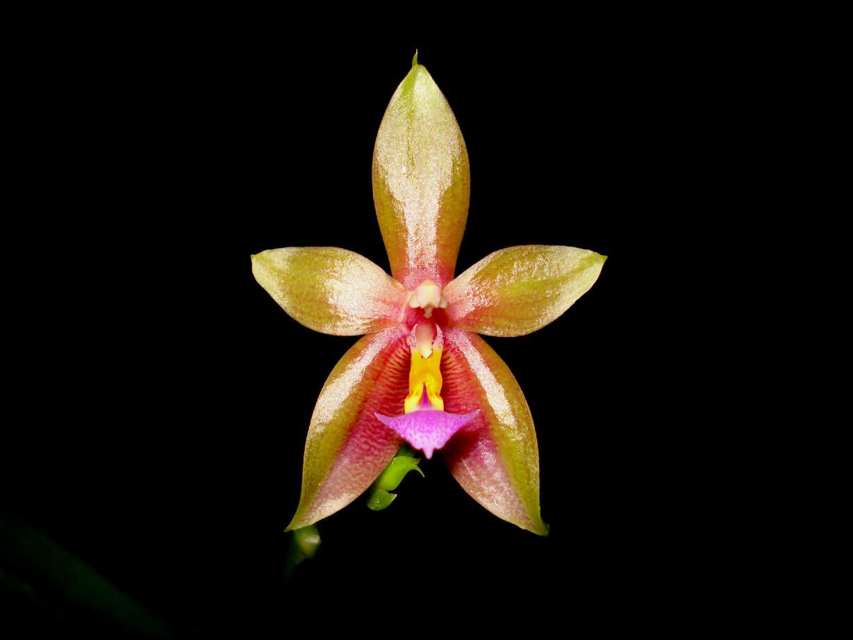 按此在新視窗瀏覽圖片