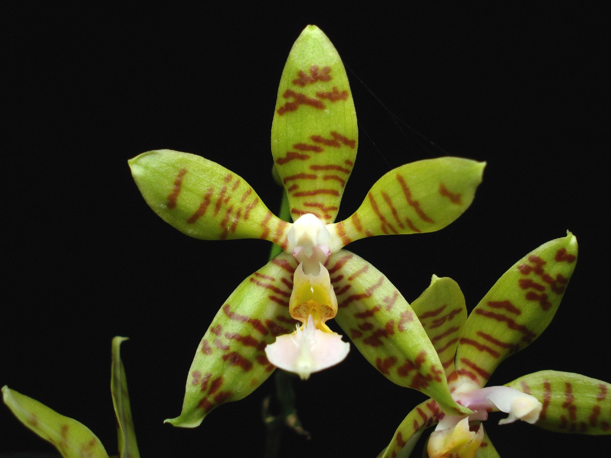 按此在新視窗瀏覽圖片