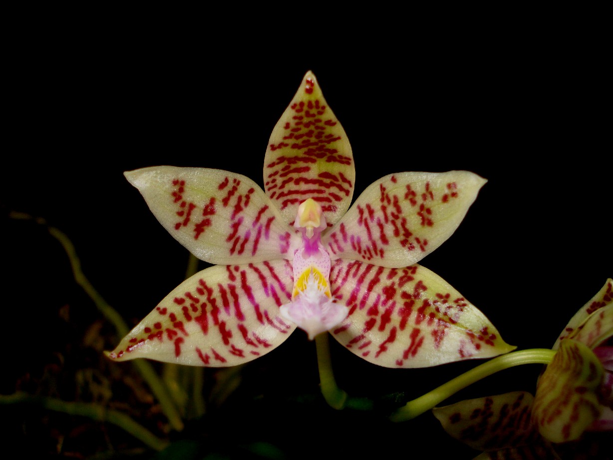 按此在新視窗瀏覽圖片