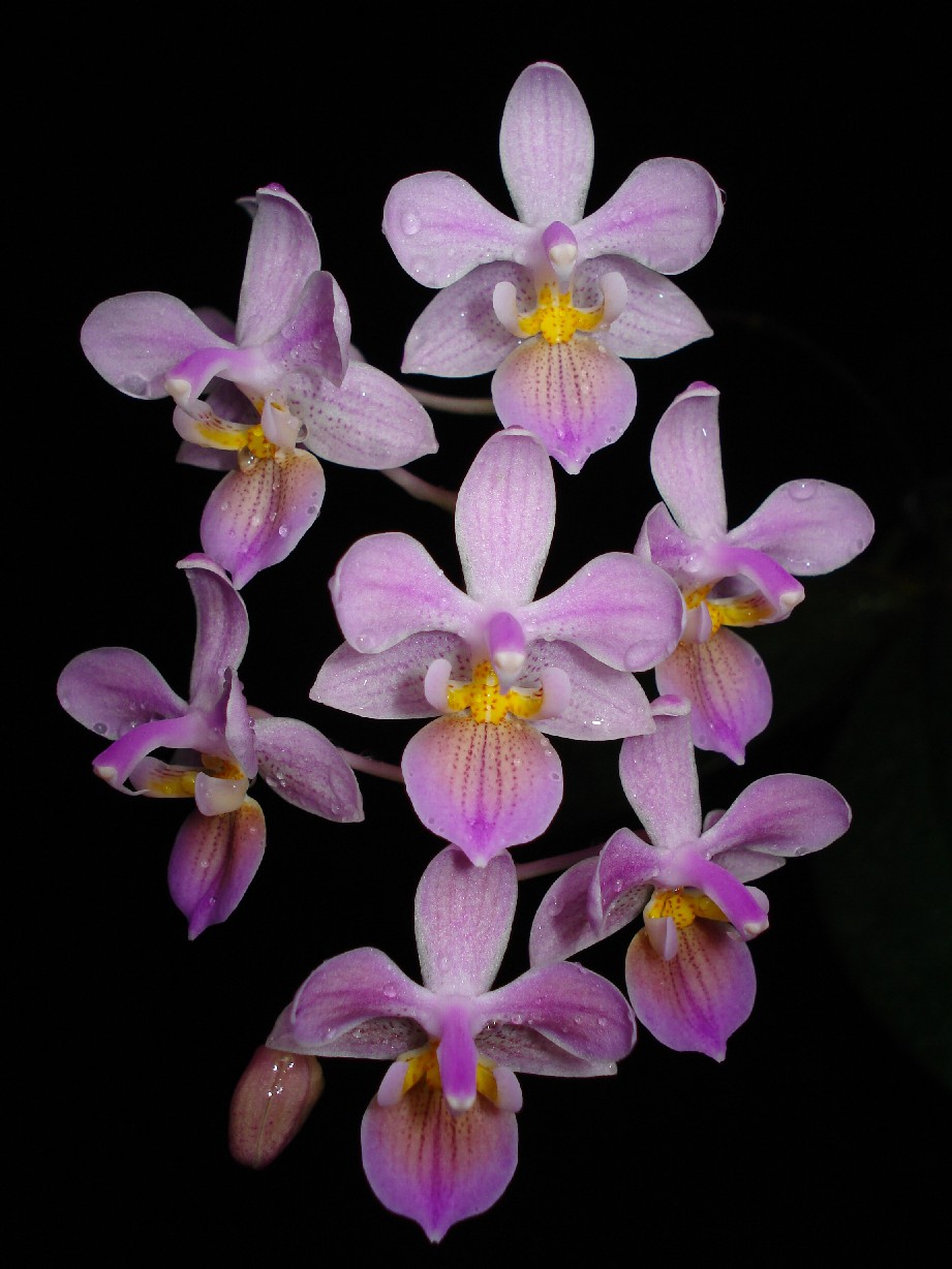 按此在新視窗瀏覽圖片