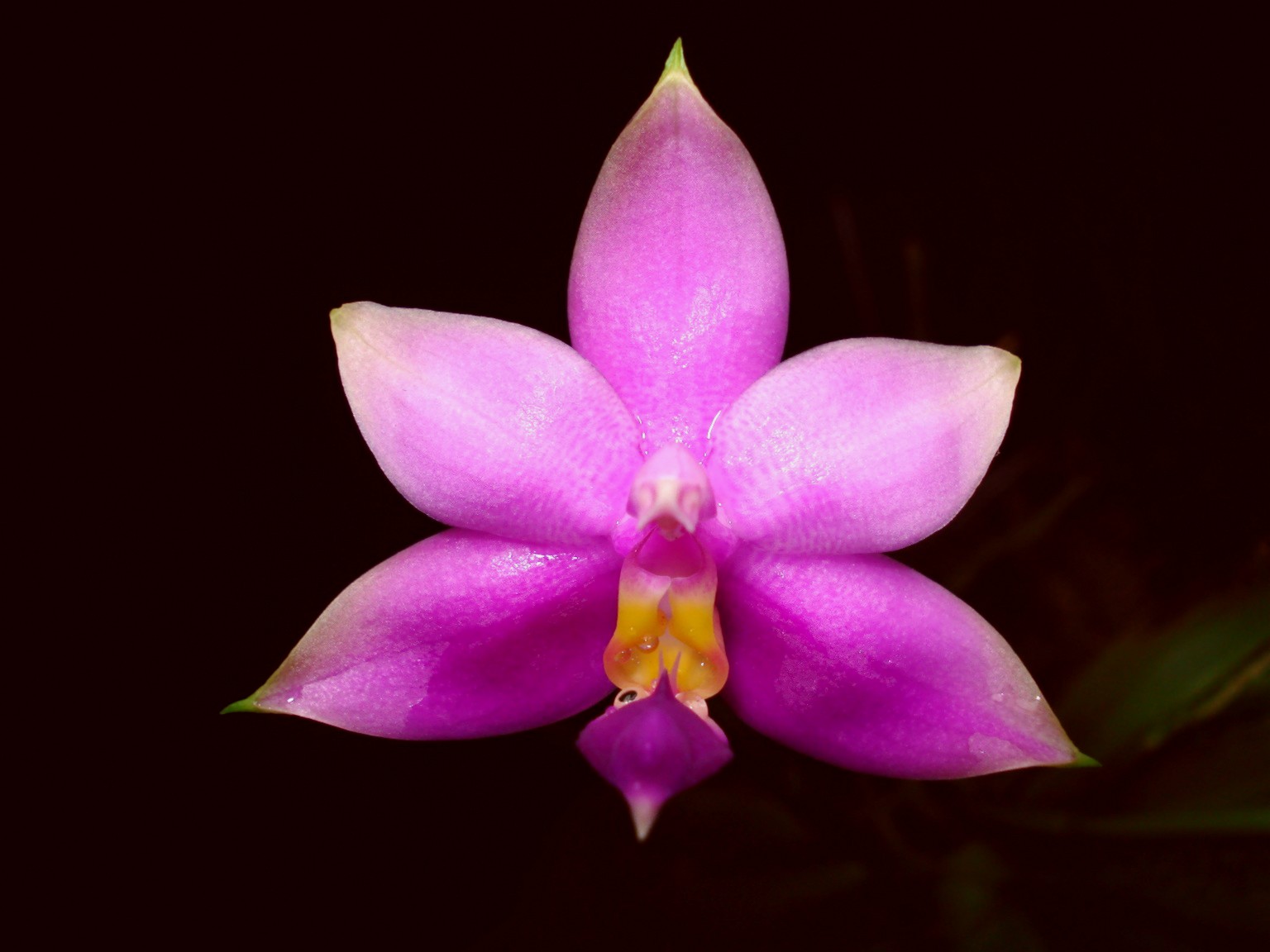 按此在新視窗瀏覽圖片